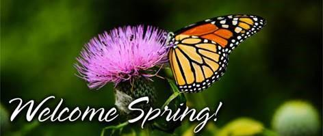 Butterfly sitting on a flower with the text Welcome Spring
