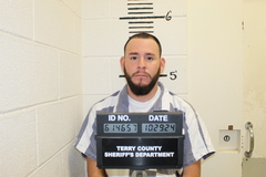 Mugshot of ACEVEDODOMINGUEZ, LUIS