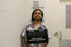 Mugshot of FLORES, VICTOR  