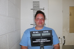 Mugshot of MCELROY, ASHELY