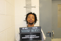 Mugshot of BROWN, KARLANTE