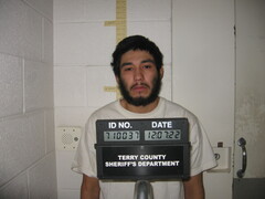 Mugshot of PEREZ, JOE