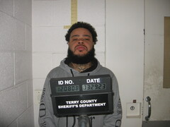 Mugshot of WILSON, LADARIUS