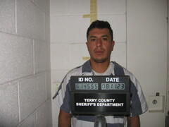 Mugshot of GAMINOSAUCEDO, JOES